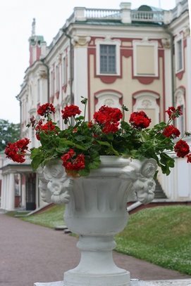 Tallinn_one_day24