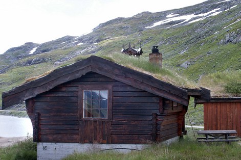 Norvegian_roof_8