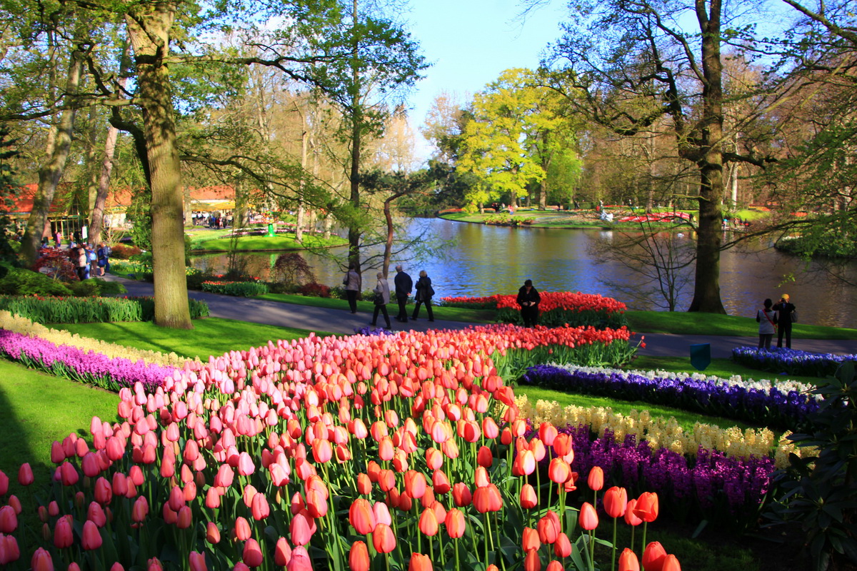 Парк Кейкенхоф, Голландия-